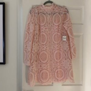 Free people lace dress in pink!